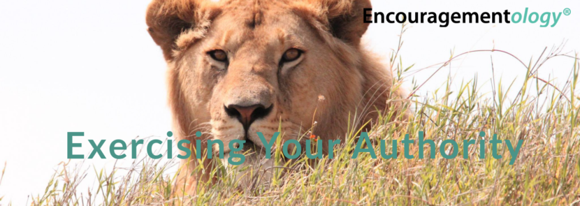 Exercising Your Authority