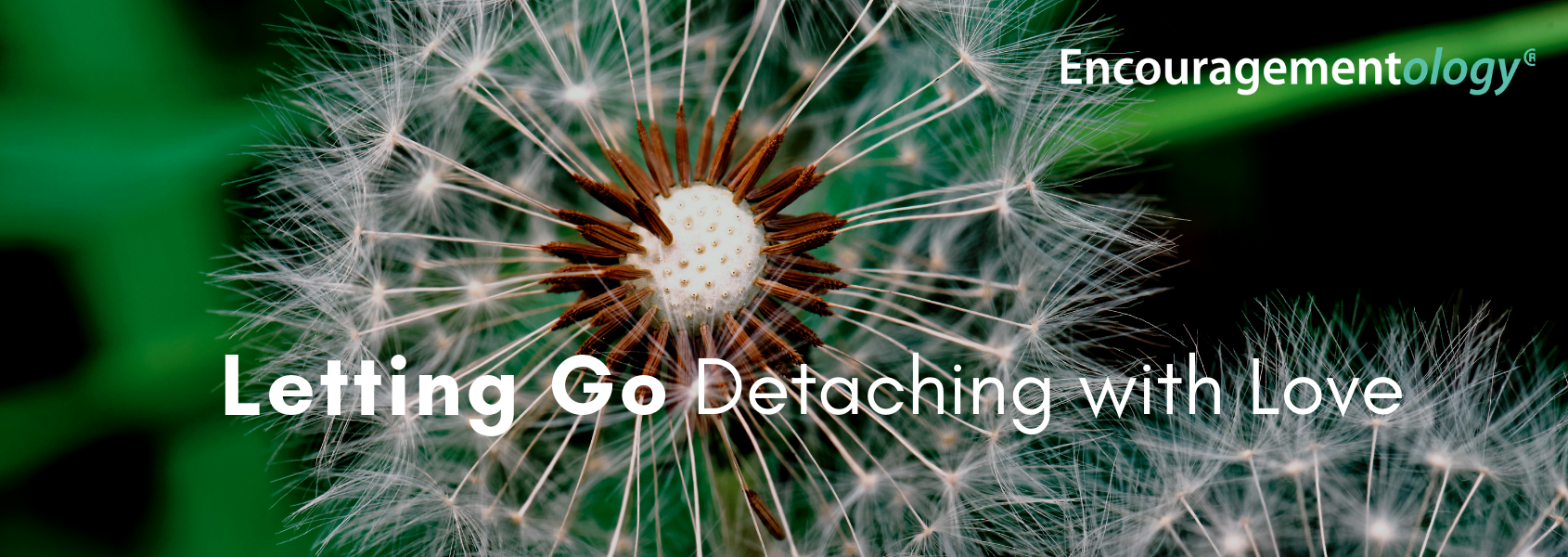Letting Go Detaching with Love