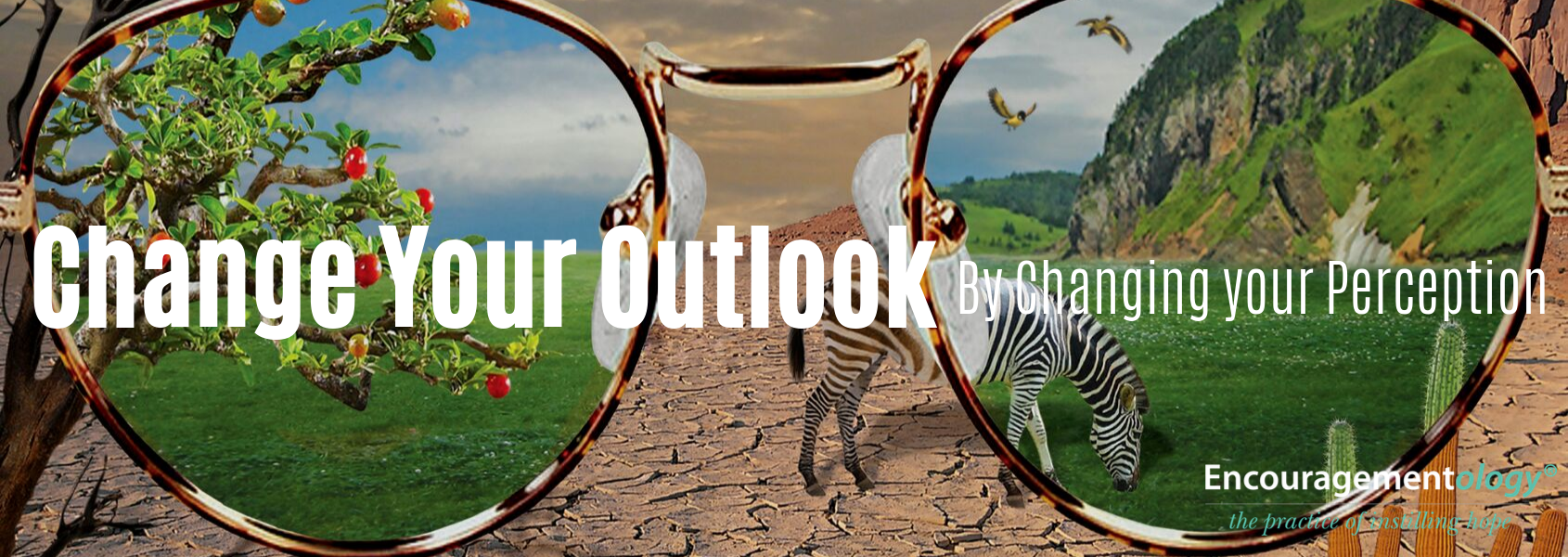 Change Your Outlook by Changing Your Perception