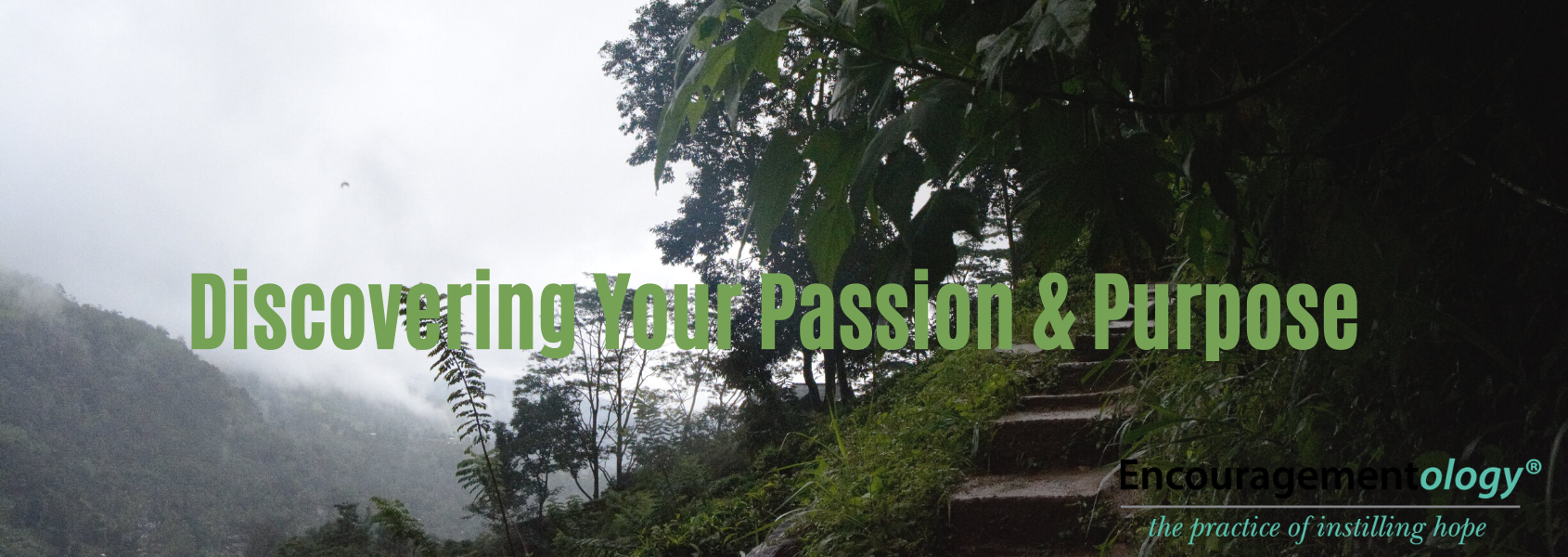 Discovering your passion and purpose