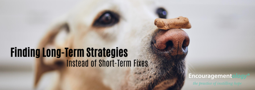 Finding long term strategies