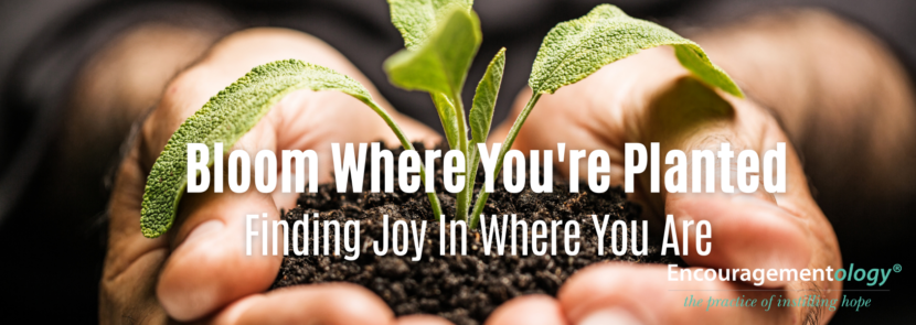Bloom Where You're Planted