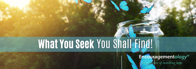 What you seek you shall find