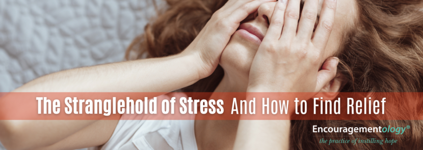 Finding Stress Relief
